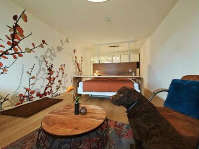 Bissendorf Artroom Boarding Apartment المظهر الخارجي الصورة